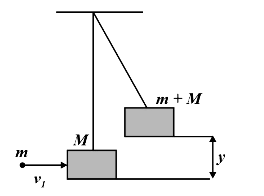 जैसा कि चित्र में दिखाया गया है, m द्रव्यमान की एक गोली जो  v(1) वेग से गतिमान है, M द्रव्यमान के एक निलंबित लकड़ी के गुटके से टकराती है और इससे चिपक जाती है। यदि गुटका y ऊँचाई तक ऊपर उठता है, तो गोली का प्रारंभिक वेग है