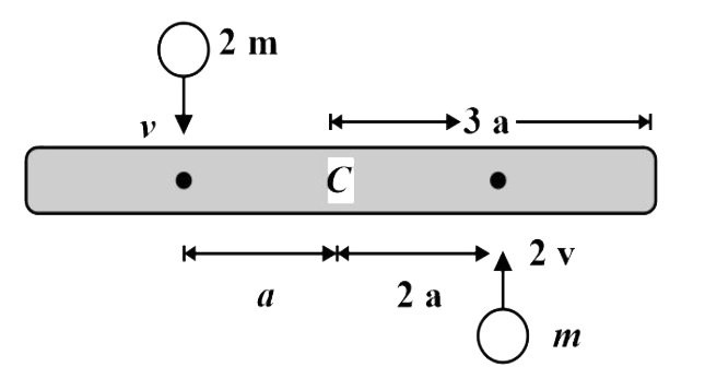 6a लंबाई और 8m द्रव्यमान की एकसमान छड़ एक चिकनी क्षैतिज मेज पर स्थित है। दो बिंदु द्रव्यमान m और 2m जो क्रमश: 2v और v चाल के साथ एक ही क्षैतिज तल में गतिमान हैं, छड़ पर टकराते हैं और संघट्ट के बाद छड़ से चिपक जाते हैं। तो छड़ का कोणीय वेग (द्रव्यमान केंद्र के सापेक्ष) है: