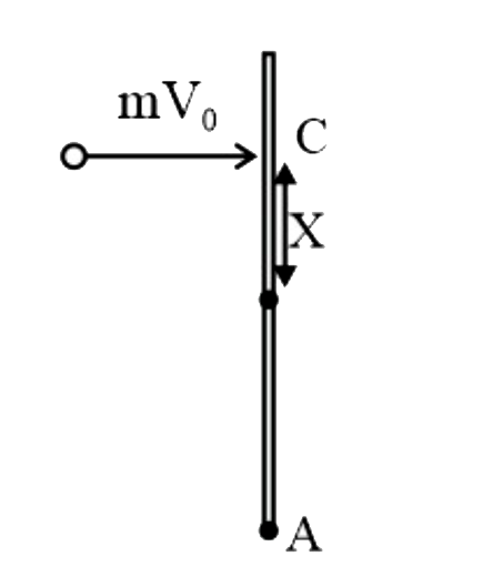 द्रव्यमान M और लंबाई Lकी एकसमान छड़ AB एक चिकनी मेज़ पर रखी है। m द्रव्यमान का एक छोटा कण V0 वेग से केंद्र 0 से दूरी पर बिंदु C पर छड़ से टकराता है। कण संघट्ट के बाद विराम में आ जाता है। यदि का मान, ताकि छड़ का बिंदु A संघट्ट के ठीक बाद स्थिर रहे, L/n है, तब n का मान ज्ञात कीजिए।
