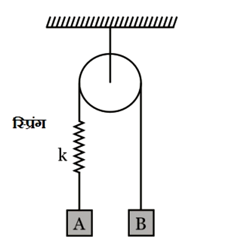 द्रव्यमान m और 2m के दो ब्लॉक A और B को विराम अवस्था में इस प्रकार रखा जाता है कि स्प्रिंग अपनी प्राकृतिक लंबाई में है। मुक्त करने के ठीक बाद, A और B ब्लॉकों के त्वरणों को ज्ञात कीजिए। (घिरनी, डोरी और स्प्रिंग द्रव्यमान रहित हैं)