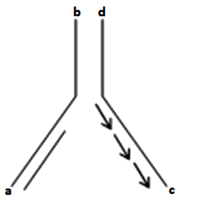 नीचे दिए गए चित्र में दिखाई गई प्रतिकृति के दौरान a से b और c से d तक DNA रज्जुकों की ध्रुवणता होगी: