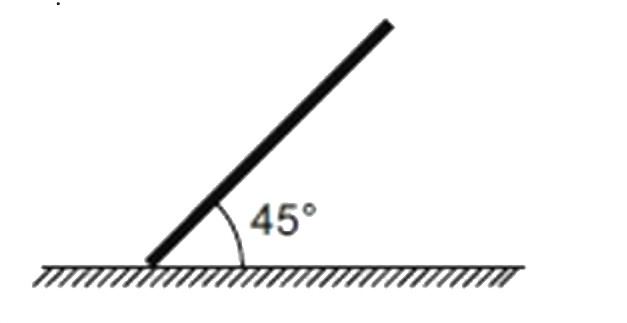 एक एकसमान छड़ क्षैतिज के साथ 45 ° के कोण पर रखी जाती है और विरामावस्था से दिखाए अनुसार छोड़ दी जाती है। तल और छड़ के बीच आवश्यक न्यूनतम घर्षण गुणांक क्या होगा, ताकि छोड़े जाने पर छड़ तल पर न फिसले: