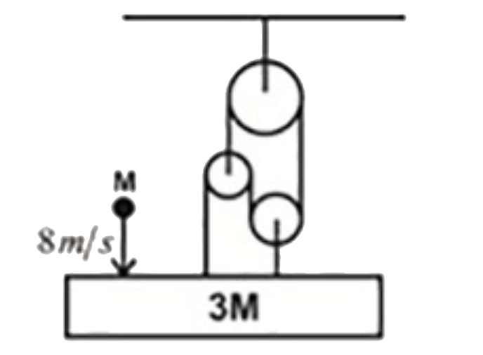 जैसा कि चित्र में दिखाया गया है, द्रव्यमान 3M का एक गुटका घिरनी निकाय से जुड़ा हुआ है। t = 0 पर, ऊर्ध्वाधर रूप से गिर रहा कण M, गुटके 3M से वेग 8 m s^(-1)  के साथ टकराता है और इससे चिपक जाता है। संघट्ट के ठीक बाद संयुक्त द्रव्यमान की चाल है :
