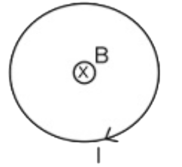 एक चालक लूप जिसमें एक धारा I प्रवाहित होती है, को एकसमान चुंबकीय क्षेत्र में रखा जाता है, जिसकी दिशा कागज के तल के अंदर की ओर है जैसा कि चित्र में दिखाया गया है। लूप में प्रवृत्ति होगी: