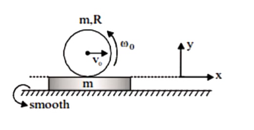 A solid cylinder is given a velocity v(0) and an angular speed omega(0) in the anticlockwise direction and then it is placed gently on a very long rough plank ( initially at rest ) as shown in the figure. Then, choose the incorrect statement :