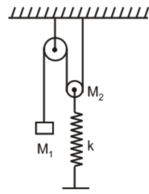 A block of mass M(1) is constrained to move along with a moveable pulley of mass M(2) which is connected to a sprin of force constant k, as shown in the figure. If the mass of the fixed pulley is negligible and friction is absent everywhere, then the period of small oscillations of the system is
