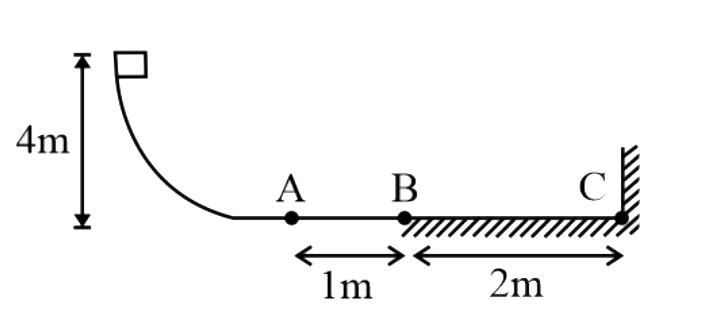 A block of mass m=0.1kg is released from a height of 4 m on a curved smooth surface. On the horizonal surface, path AB is smooth and path BC is rough with a coefficient of friction mu=0.1. If the impact of the block with the verical wall at C is perfectly elastic, the total distance covered by the block on the horizontal surface before coming to rest will be (take g=10ms^(-2))