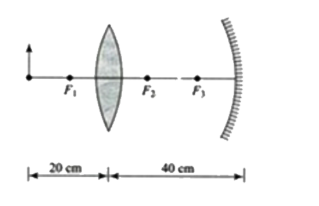 A biconvex lens of focal length f(1)=10cm is placed 40 cm in front of a concave mirror of focal length f(2)=7.50 cm, as shown in the figure. An object, 2 cm high, is placed 20 cm to the left of the lens.      The image formed by the lens, as rays travel to the right, is