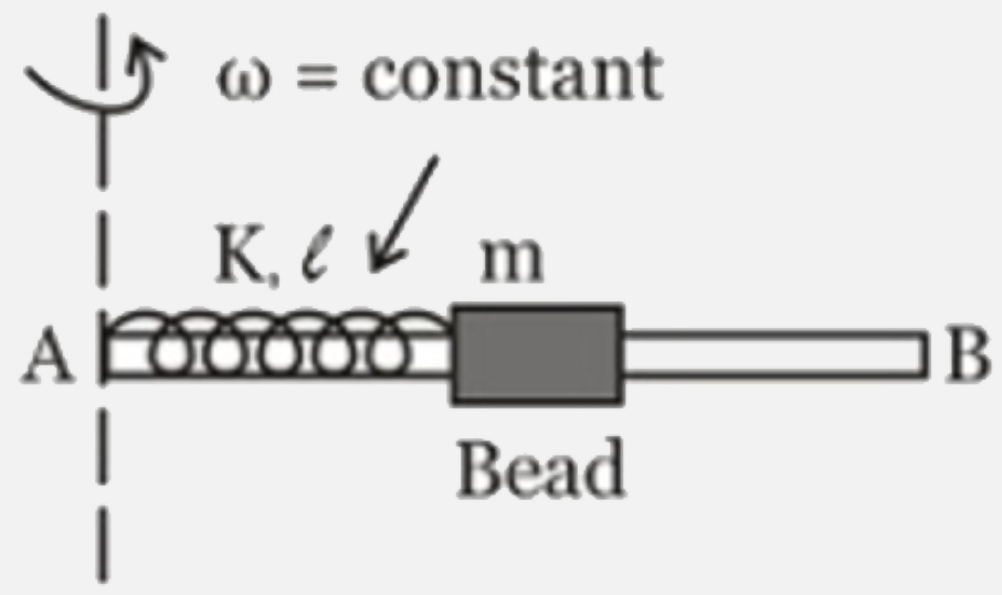 AB is a light rigid rod, which is rotating about a vertical axis passing through end A. A spring of force constant k and natural length l is attached at A and its other end attached to a small bead of mass m. The bead can slide without friction on the rod. At the initial moment, the bead is at rest (w.r.t the rod) and the spring is unstretched. Select incorrect options :
