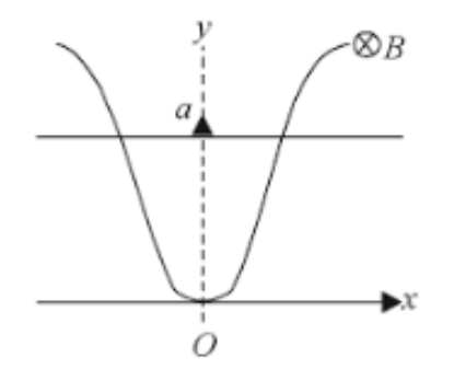 A wire bent as a parabola y=kx^(2) is located in a uniform magnetic field of induction B, the vector B being perpendicular to the plane xy. At t=0, the sliding wire starts sliding from the vertex O with a constant acceleration a linearly as shown in Fig. Find the emf induced in the loop -