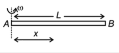 A non - conducting rod of length L with linear charge density lambda=lambda(0)x where x is the distance from end A is rotating with constant angular speed omega about the same end. If the angular velocity of the rod (omega) is large, then the magnetic dipole moment of the system is (omega lambda(0)L^(4))/(n). What is the value of n?