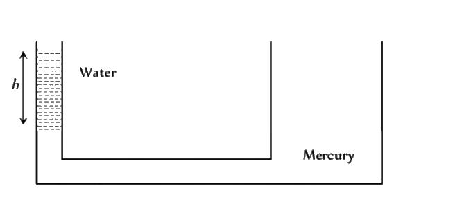 Two communicating vessels contains mercury. The diameter of one vessel is n times larger than the diameter of the other. A column of water of height h is poured into the left vessel. The mercury level will rise in the right - hand vessel (s = relative density of mercury and  rho= density of water) by