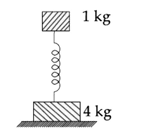 Two bodies of masses 1 kg and 4 kg are connected to a vertical spring, as shown in the figure. The smaller mass executes simple harmonic motion of angular frequency
