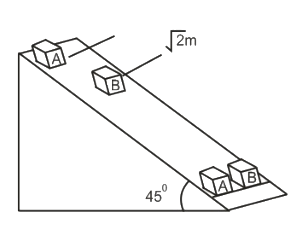 Two blocks A and B of equal masses are released from an inclined plane of inclination 45^(@) at t = 0. Both the blocks are initially at rest. The coefficient of kinetic friction between the block A and the inclined plane is 0.2 while is 0.3 for block B. Initially the block A is sqrt2m behind the block B. At what time in seconds will their front faces come in a line, (Take g=10ms^(-2))