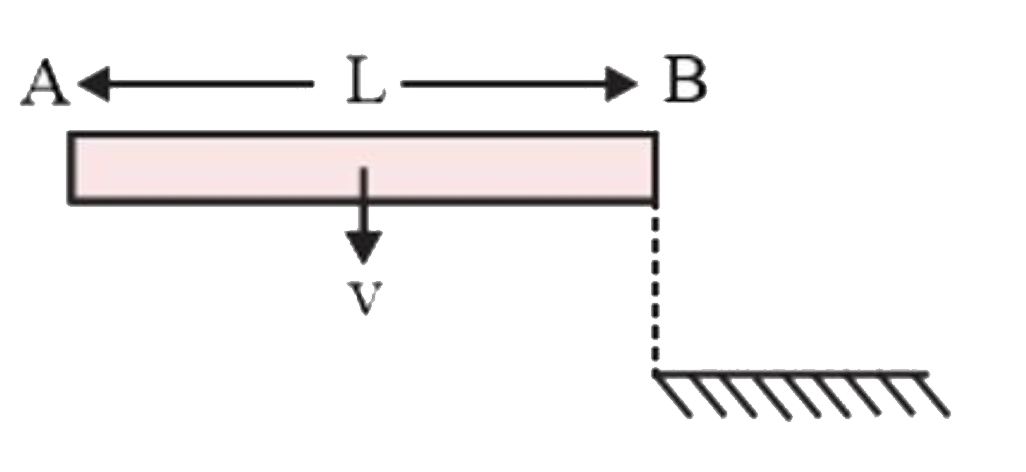 A rod AB of length L and mass M is free to move on a frictionless horizontal surface.  It is moving with a velocity v, as shown in figure. End B of rod AB strikes the end of the wall. Assuming elastic impact, the angular velocity of the rod AB, just after impact, is