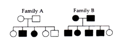 Analyze the pedigree chart of families A and B given below and select the correct option.