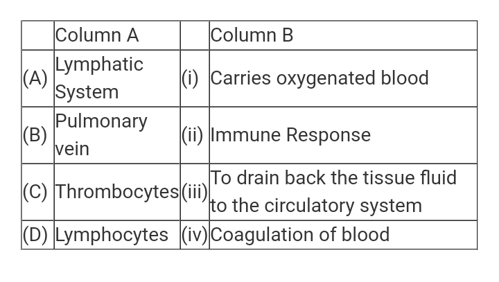 Match the terms given under Column 'A' with their functions given under Column 'B' and select the answer from the options given below :