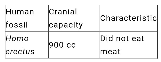 ocr_image