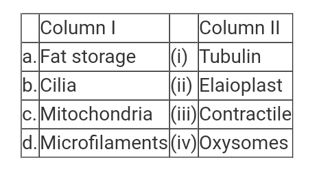 Match the column I with column II