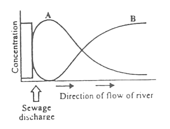 The graph given below represents the effect of sewage discharge of some important characteristics of river      Select the CORRECT option with respect to peaks A and B.
