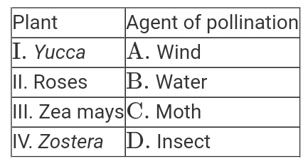 Which of the following options shows the correct match of the plants along with their pollinating agents?