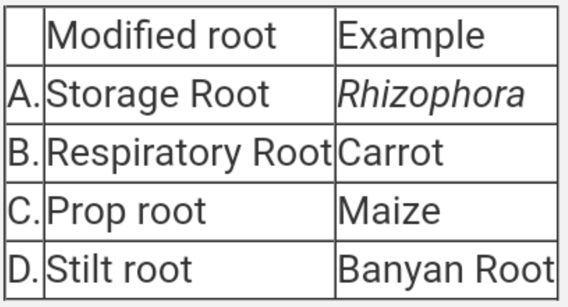 Match the right example of modified root