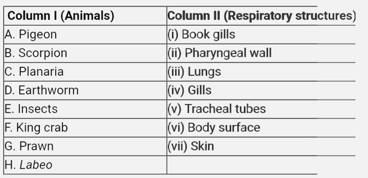 Match animal in column l with their respective respiratory structure in column II.