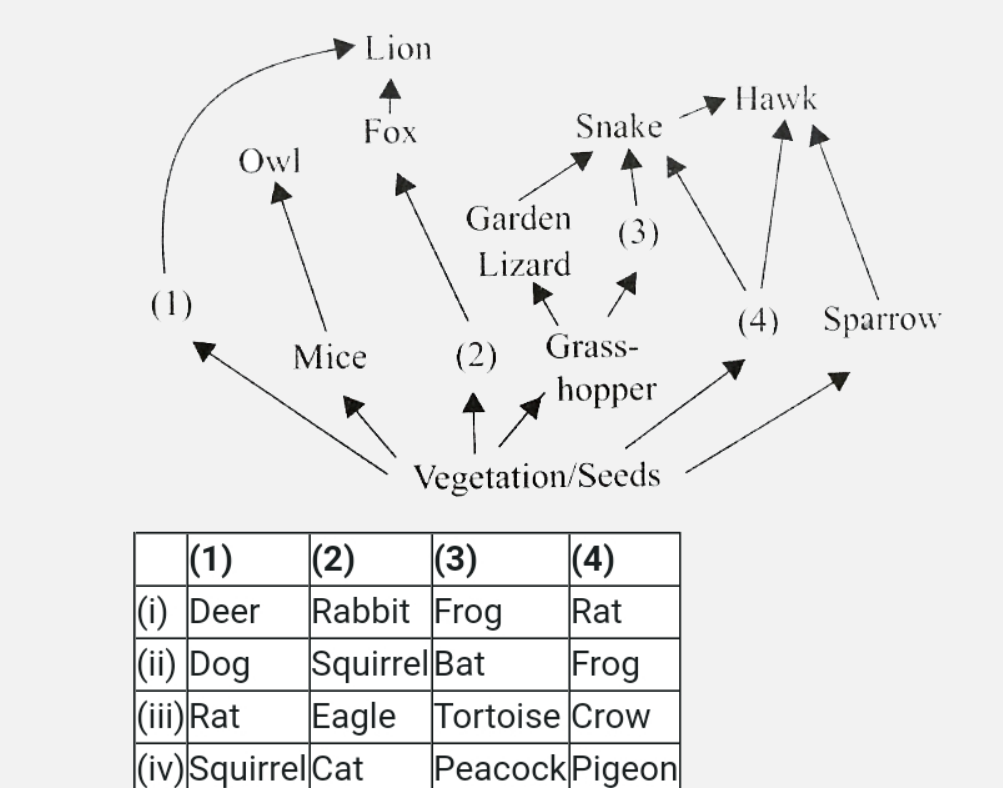 Identify the missing organisms - (1), (2), (3) and (4) in the following food web and select the correct option.