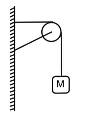 A mass string going over a clamped pulley of mass m supports a block of mass M as shown in the figure. The force on the pulley by the clamp is given