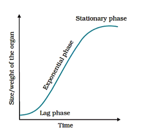 A growth curve of a plant is shown below. The mathematical expression for growth curve will be: