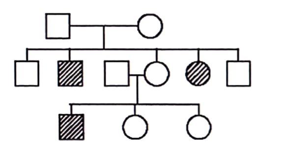 Study the pedigree chart given below:      what does it show?