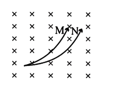 Two charged particle M and N are projected with same velocity in a uniform magnetic field. Then M and N respectively.