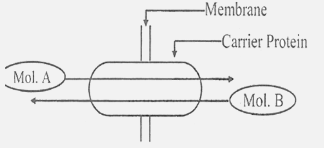 Look at the following diagram showing facilitated diffusion across the membrane. Identify its type.