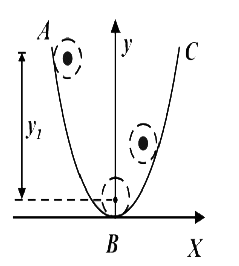 A uniform cylinder rolls down from rest, on a track whose vertical cross - section is  a parabola given by the equation y=kx^(2). If the surface is rough from A to B due to which the cylinder doesn't slip but it is frictionless from B to C, then the height of ascent of cylinder towards C is