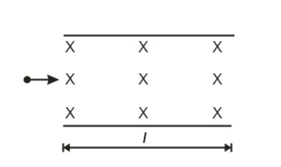 An electron moves with a constant velocity inside a charged parallel plate capacitor as shown in the figure. The space between the plates is filled with a constant magnetic field B. The plates are having surface charge densities +sigma and -sigma  respectively . The time in which the electron comes out from the capacitor is