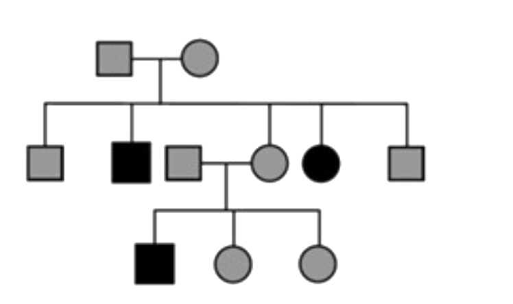Given pedigree belongs to autosomal recessive disorder , which of the following represents parental genotypes correctly ?