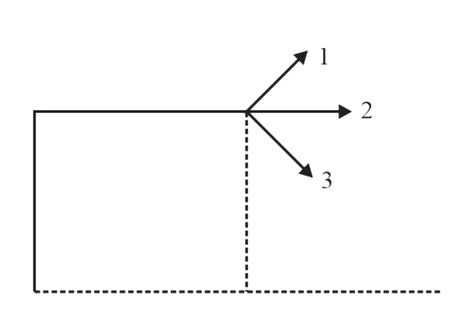 Three balls are dropped from the top of a building with equal speeds but at different angles. Balls strike the ground with velocities v1, v2 and v3 respectively, then