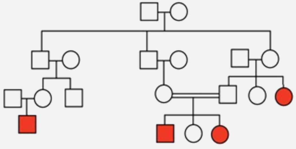 Analyze the pedigree chart given below and draw the conclusion for the genotype of parents undergoing consanguineous marriage.