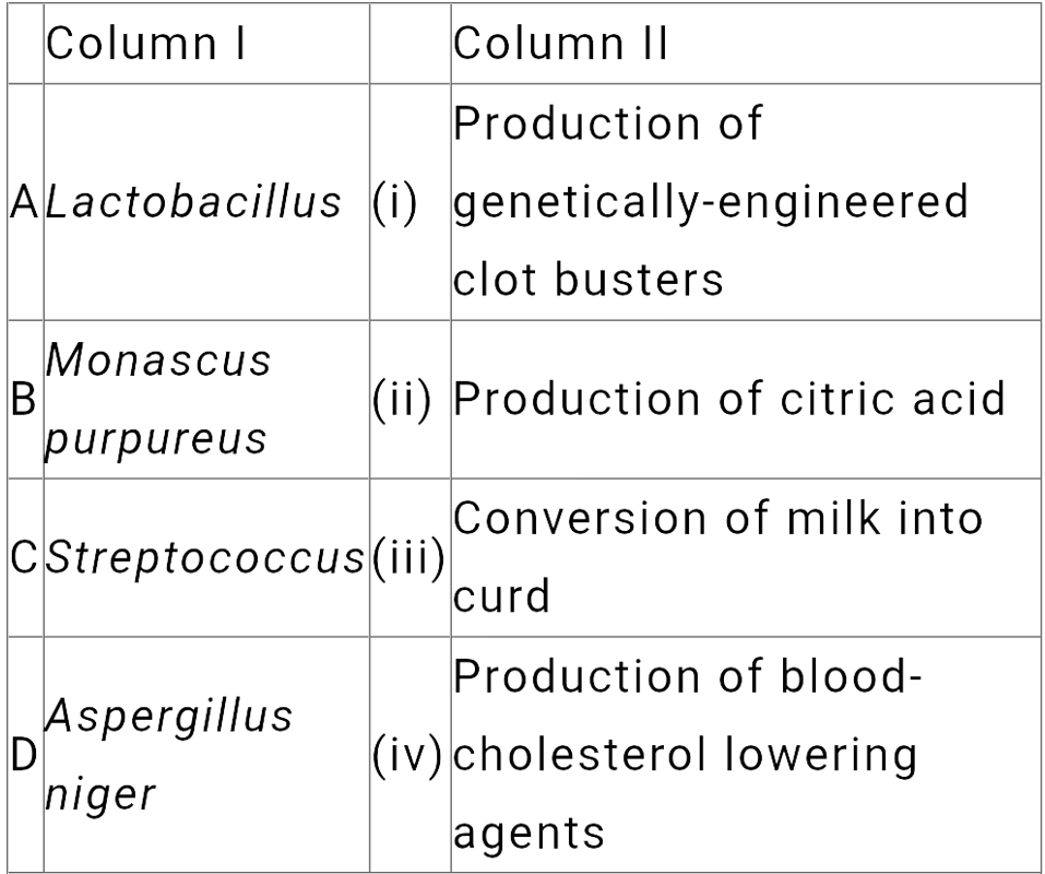 Match the following list of microbes and their importance :