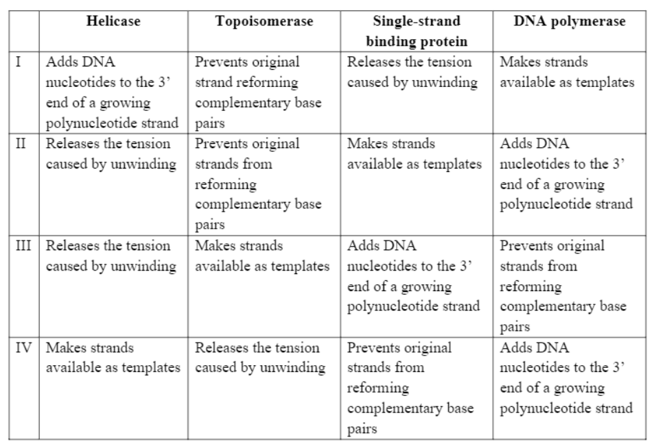 Which of these is the correct function of enzymes/ Protein used in DNA replication ?