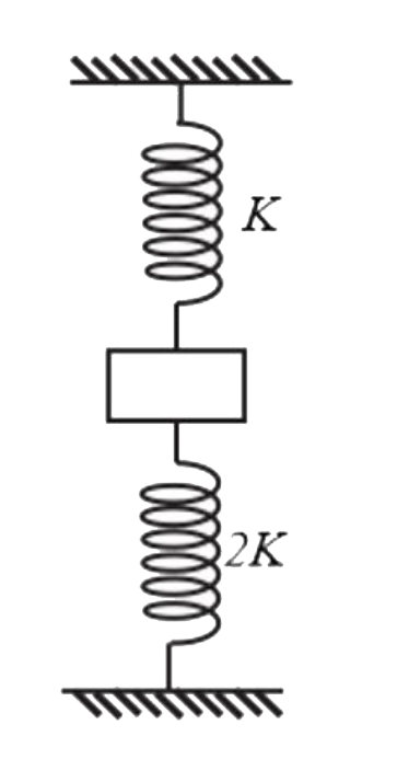 A block of mass m is connected two springs of spring constant 2k annd k , respectively , as shown in the vertical plane. At equilibrium , both springs are compressed by same length. If suddenly lower spring is cut, then acceleration of block, just after spring cut , is