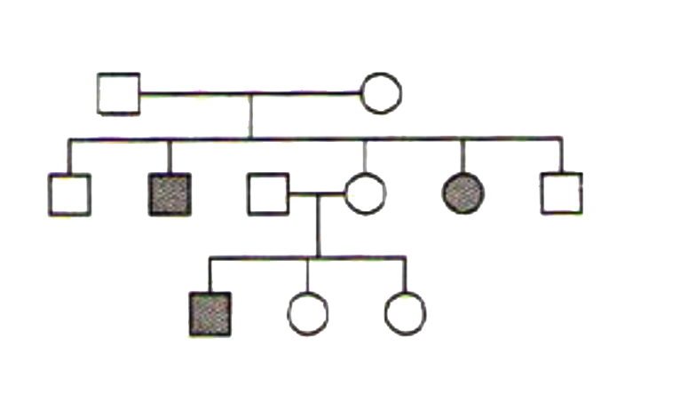 Analyze the pedigree chart that is given below and select the correct option.