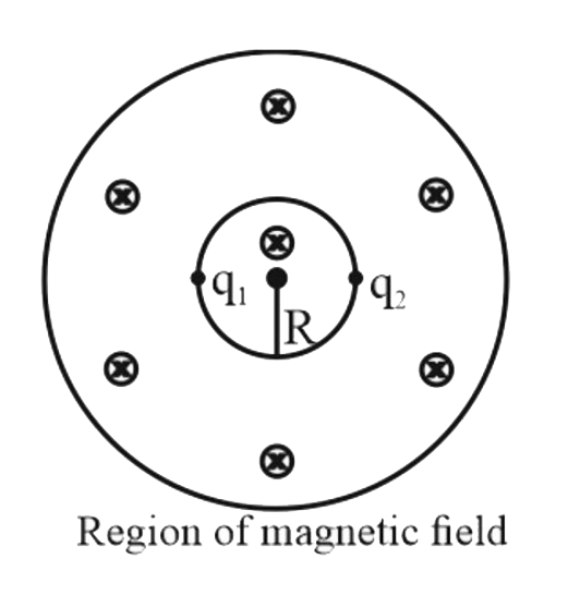 The figure shows a region containing a uniform magnetic field B, which is increasing at the rate (dB)/(dt)  The region is gravity free. A disc of mass m and radius R is kept in this magnetic field. Two charged particles having charge q1 and q2  and masses m and 2m are embedded to the non-conducting disc on the circumference at diametrically opposite points. The disc is free to  translate as well as rotate.      If q1 = -q and q2 = q , then the initial acceleration of q1  will be