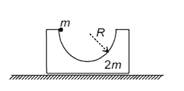 A small ball of mass m is released from rest from the position shown . All contact surface are smooth . The speed of the ball when it reaches its lowest position is