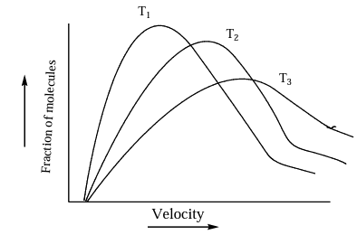 In the following graph of Maxwell - Boltzmann distribution of molecular velocities . Which of the following is the correct order of temperature ?