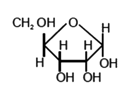 Which of the following molecule represent the given structure?