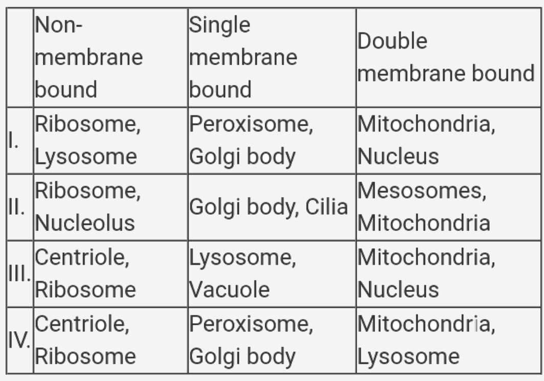 Which of these is correct about cell organelles in the cell of a mouse ?