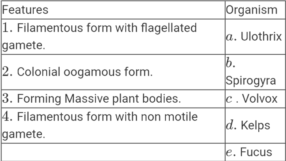 Match the features of given algae with their respective  examples :