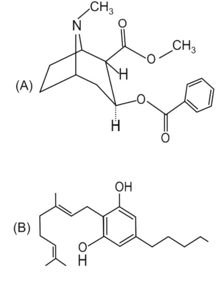 Identify the molecules (A) and (B)  shown below and select the right option giving their source and use.    (a) Cocaine, Erythroxylum coca, Accelerates the transport of dopamine 

(b) Heroin, Cannabis sativa, Depressant and slows down body functions 

(c) Cannabinoid, Atropa belladona, Produces hallucinations 

(d) Morphine, Papaver somniferum, Sedative and pain killer