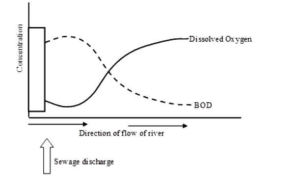 Study the graph given below and choose the option that is correctly describing the relationship between dissolved oxygen (DO) and biochemical oxygen demand (BOD) :